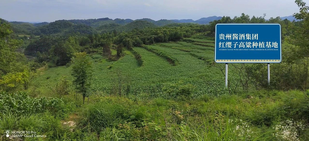 微信圖片_20240109151941.jpg 微信圖片_20240109151941.jpg